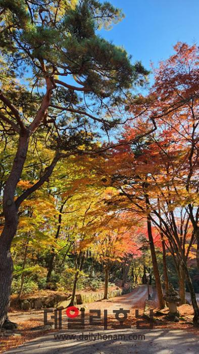 화순 모후산 유마사 단풍 숲길 4는 섬진 7지맥의 한 봉우리로 백아산의 산줄기를 타고 내려와 동복천을 앞에 두고 멈춰 선 곳이다 유마사 숲길은 대상에 선정됐다 전남도 제공
