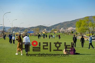 순천시가 지난해 2023순천만국가정원박람회를 위해 도로를 잔디광장로 바꾼 그린아일랜드 순천시가 그린아일랜드 존폐여부를 묻는 여론조사에서 순천시민 80가 그린아일랜드를 시민 품으로 돌려달라고 답했다 데일리호남 DB